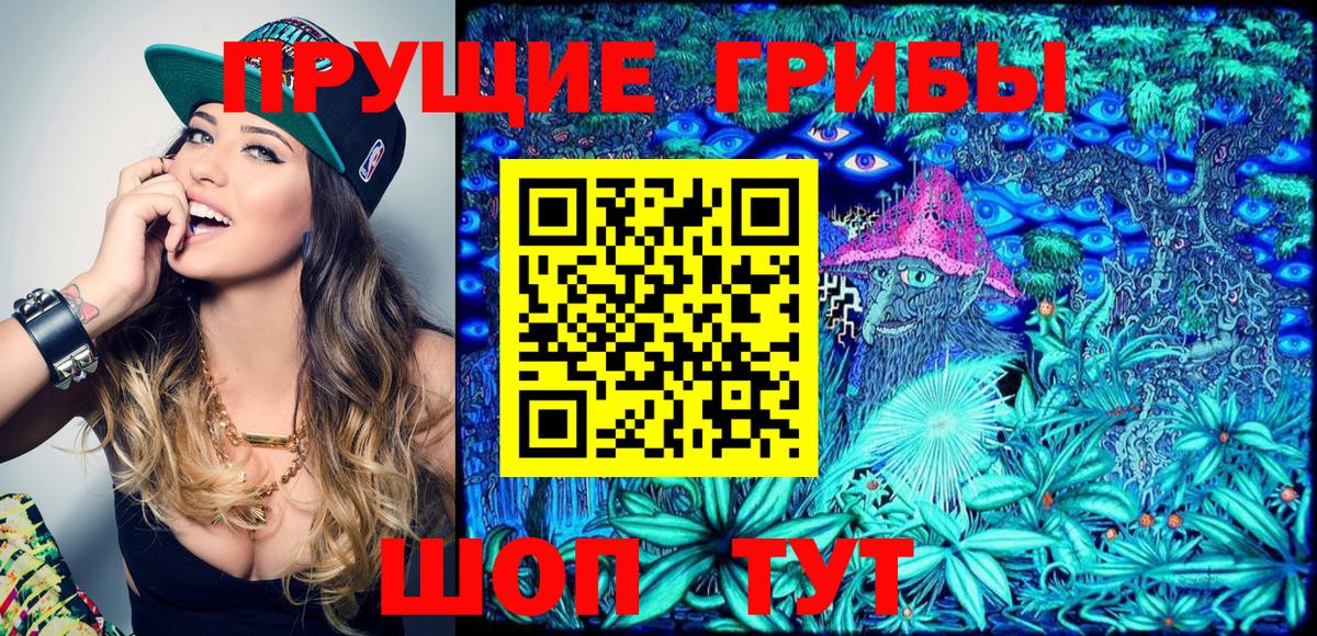 Галлюциногенные грибы Psilocybe Ростов-на-Дону
